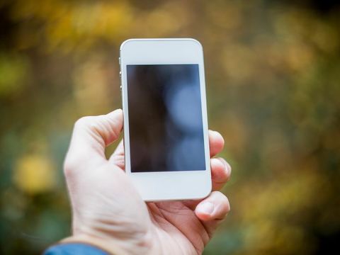 Проверяем работу